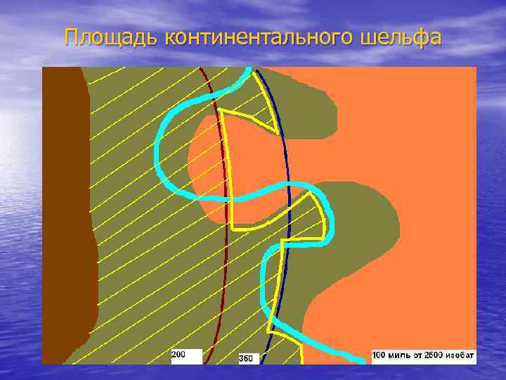 Площадь континентального шельфа 