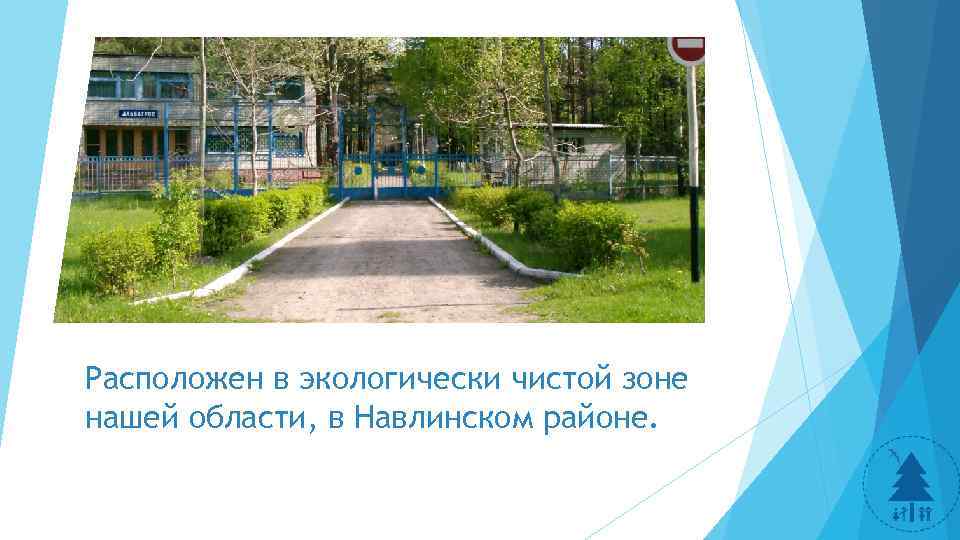 Расположен в экологически чистой зоне нашей области, в Навлинском районе. 