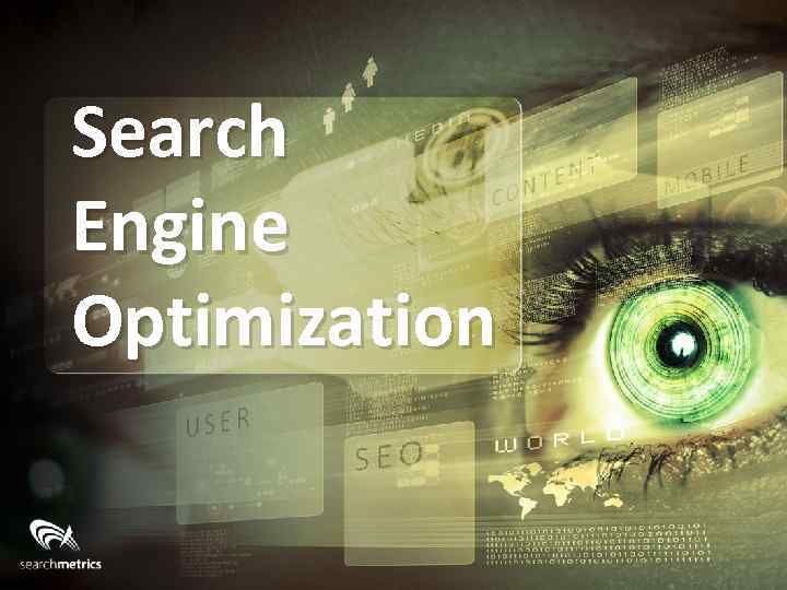 Search Engine Optimization 