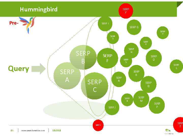 Hummingbird SERP Y Pre- SERP I SERP G SERP V SERP T SERP U