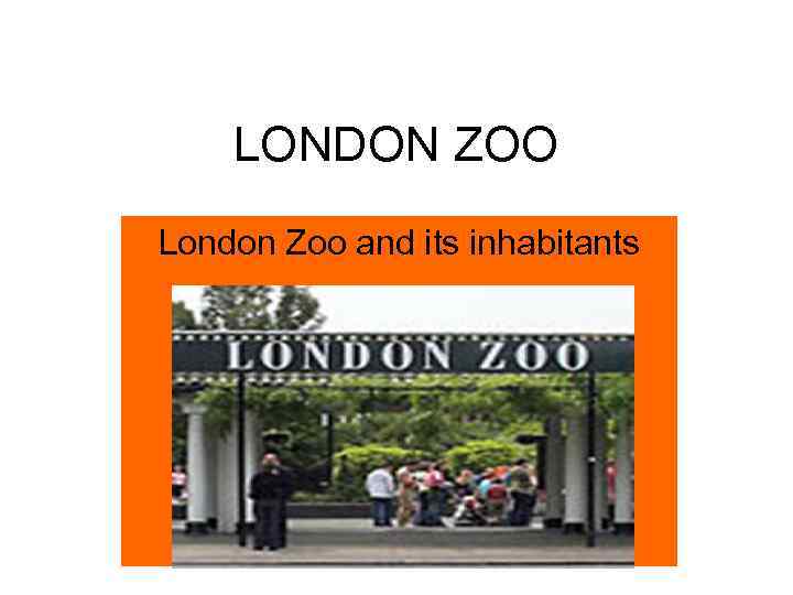 LONDON ZOO London Zoo and its inhabitants 