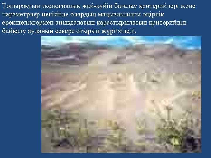 Топырақтың экологиялық жай-күйін бағалау критерийлері және параметрлер негізінде олардың маңыздылығы өңірлік ерекшеліктермен анықталатын қарастырылатын