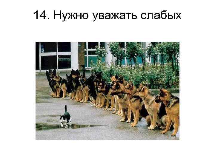 14. Нужно уважать слабых 