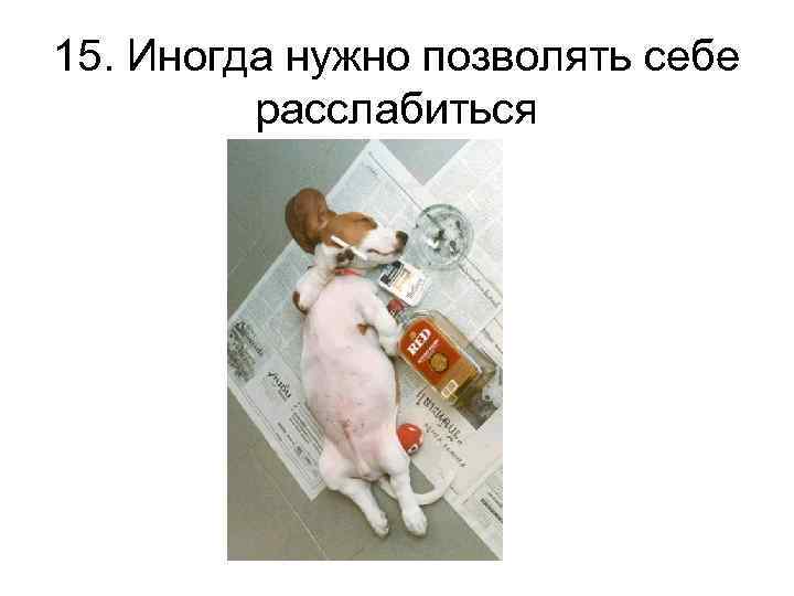 15. Иногда нужно позволять себе расслабиться 