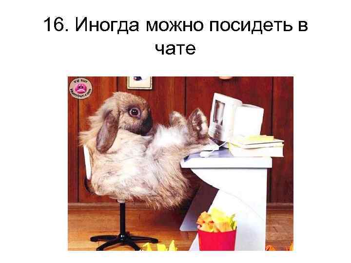 16. Иногда можно посидеть в чате 