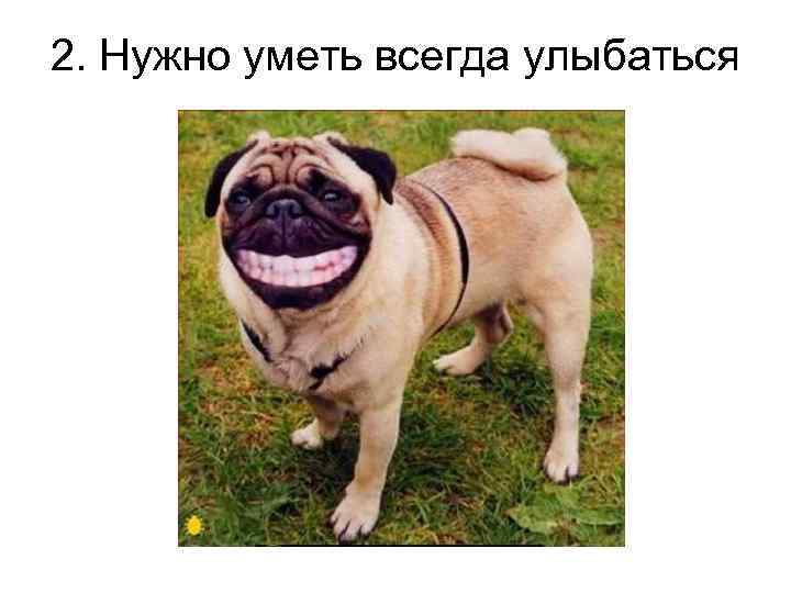 2. Нужно уметь всегда улыбаться 
