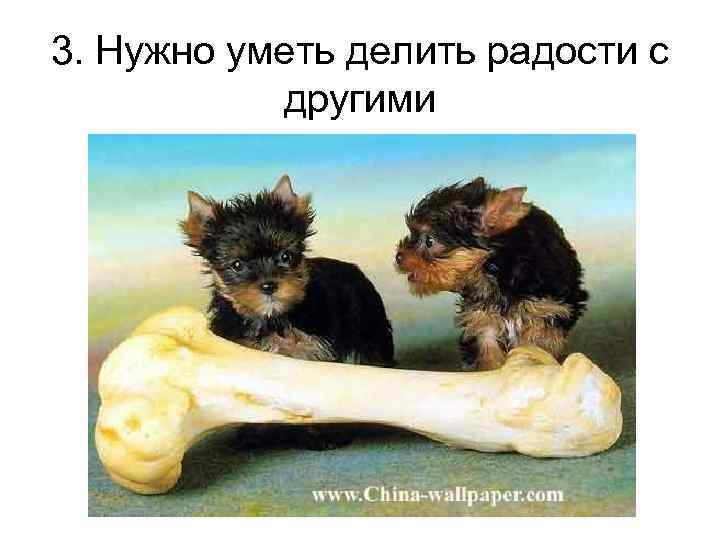 3. Нужно уметь делить радости с другими 