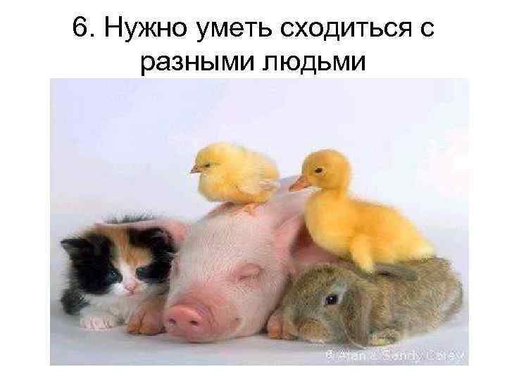 6. Нужно уметь сходиться с разными людьми 
