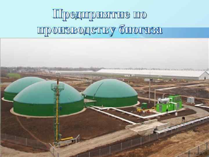 Предприятие по производству биогаза 