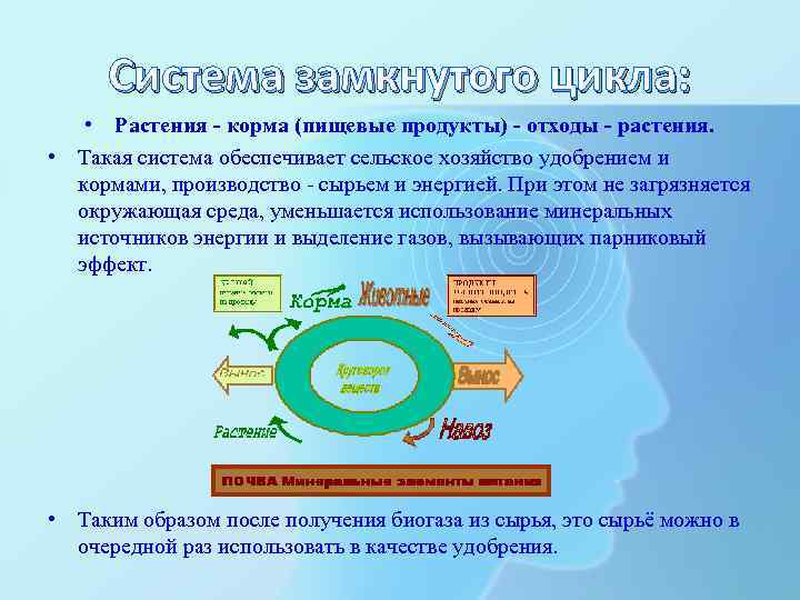 Система замкнутого цикла: • Растения - корма (пищевые продукты) - отходы - растения. •