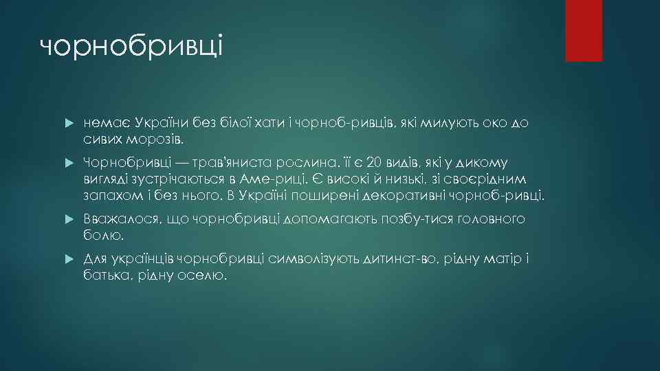 чорнобривці немає України без білої хати і чорноб ривців, які милують око до сивих