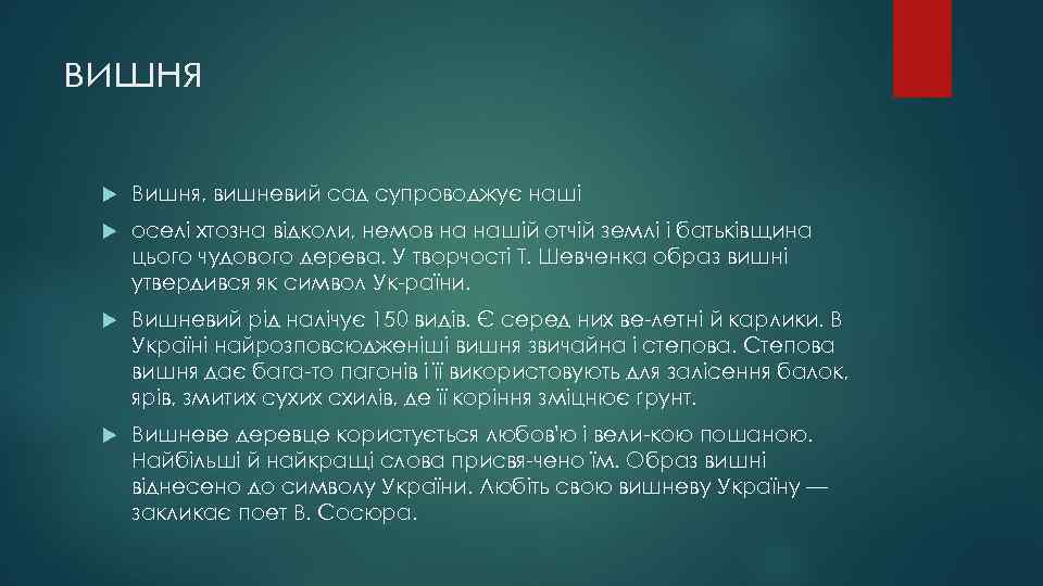 вишня Вишня, вишневий сад супроводжує наші оселі хтозна відколи, немов на нашій отчій землі