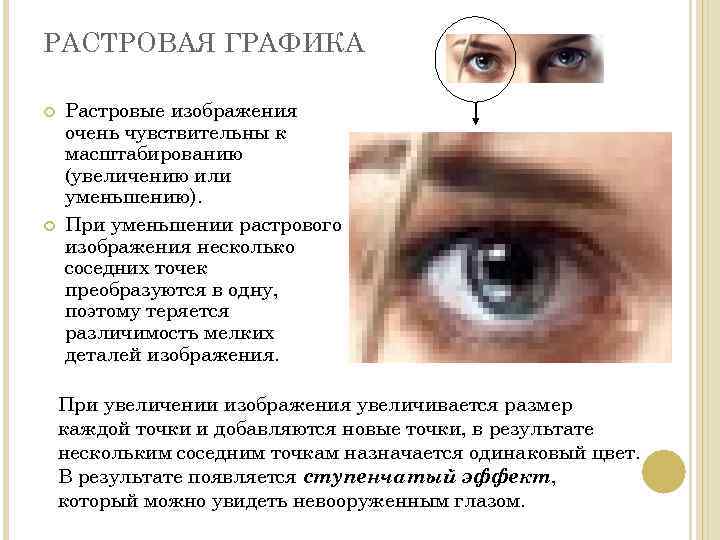 РАСТРОВАЯ ГРАФИКА Растровые изображения очень чувствительны к масштабированию (увеличению или уменьшению). При уменьшении растрового