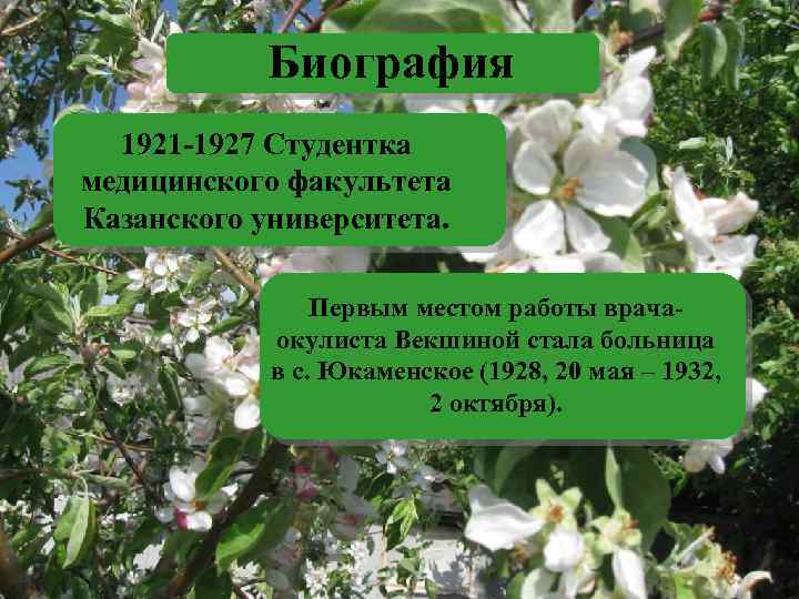 Биография 1921 -1927 Студентка медицинского факультета Казанского университета. Первым местом работы врачаокулиста Векшиной стала