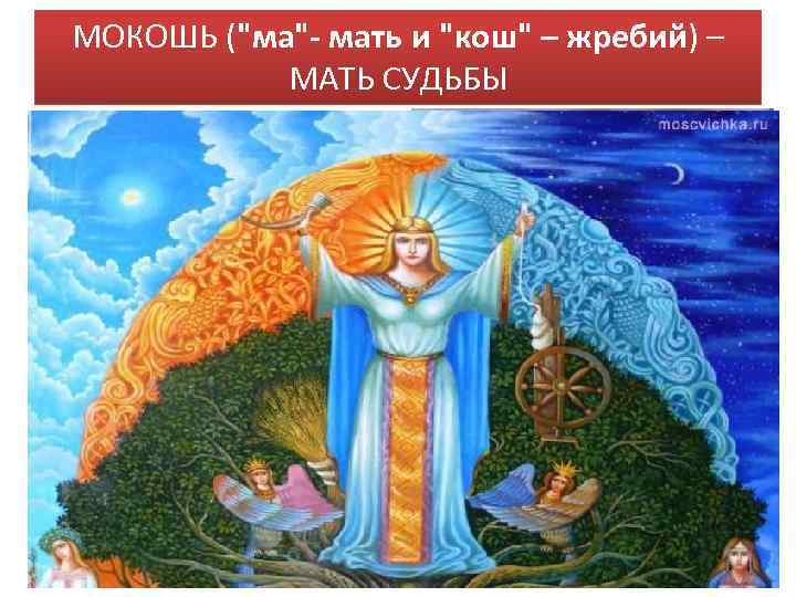 МОКОШЬ (