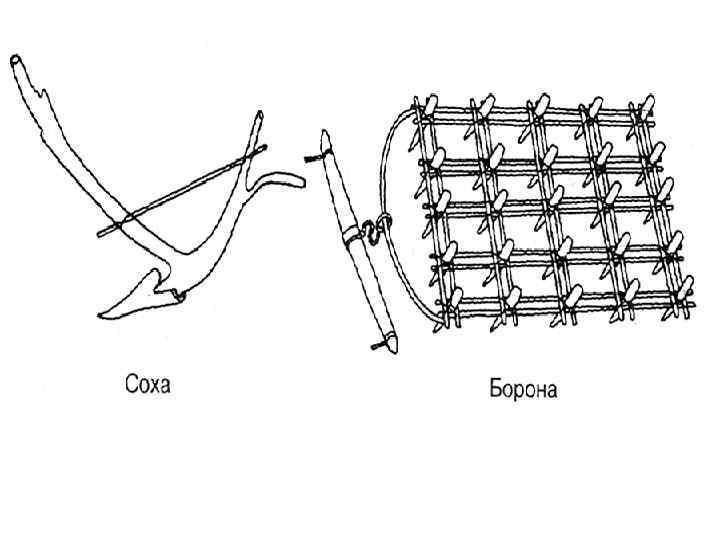 Соха и борона картинки