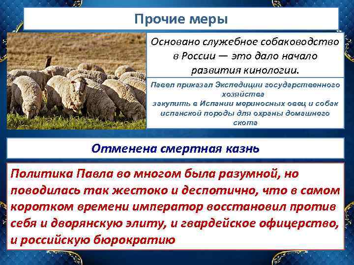 Прочие меры Основано служебное собаководство в России — это дало начало развития кинологии. Павел