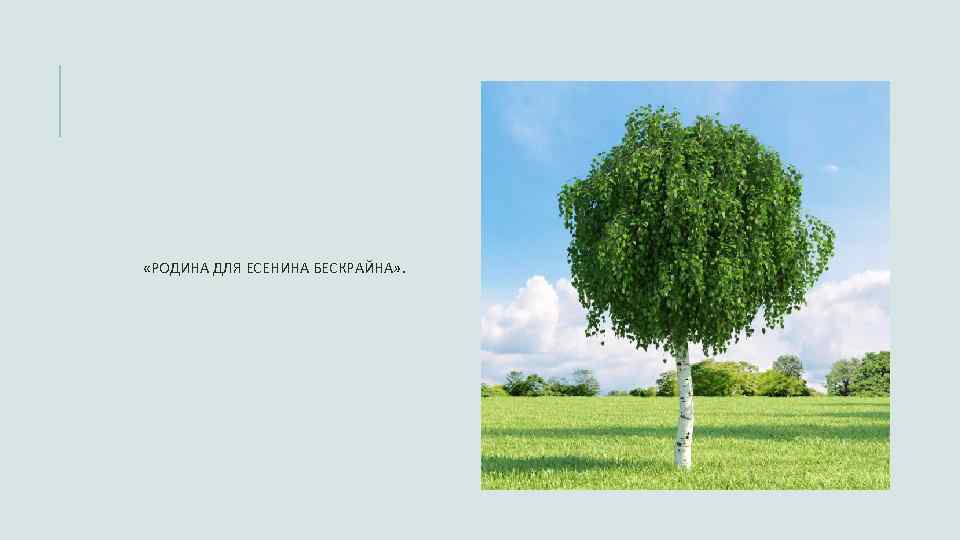  «РОДИНА ДЛЯ ЕСЕНИНА БЕСКРАЙНА» . 