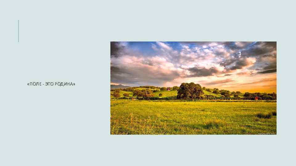  «ПОЛЕ - ЭТО РОДИНА» 