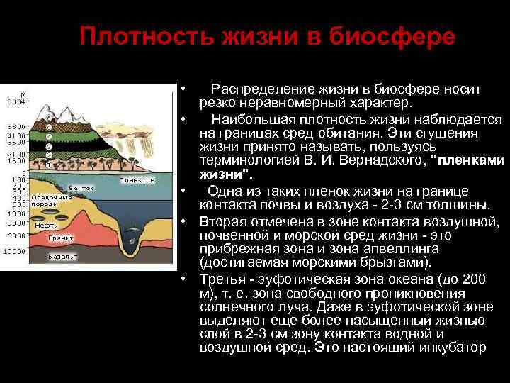 Плотность жизни в биосфере • • • Распределение жизни в биосфере носит резко неравномерный