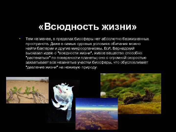  «Всюдность жизни» • Тем не менее, в пределах биосферы нет абсолютно безжизненных пространств.