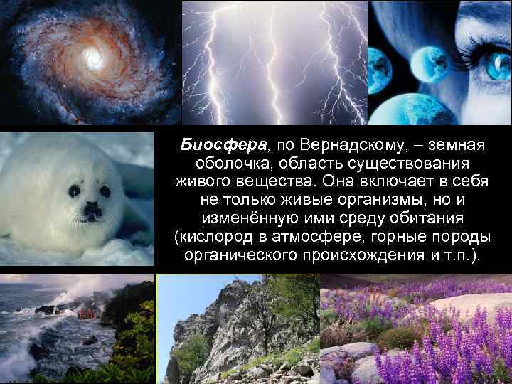 Биосфера, по Вернадскому, – земная оболочка, область существования живого вещества. Она включает в себя