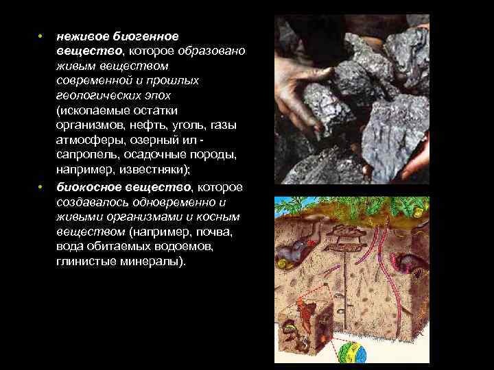  • • неживое биогенное вещество, которое образовано живым веществом современной и прошлых геологических