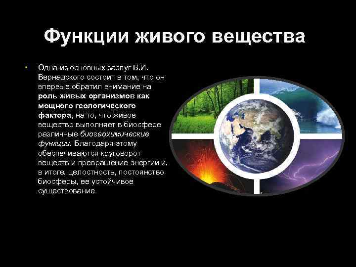 Функции живого вещества • Одна из основных заслуг В. И. Вернадского состоит в том,