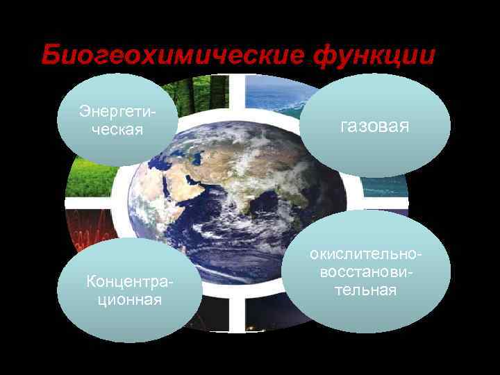 Биогеохимические функции Энергетическая Концентрационная газовая окислительновосстановительная 