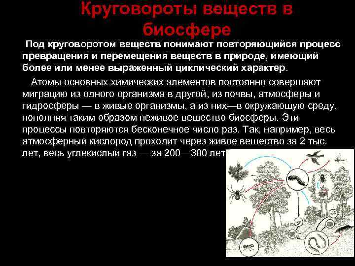 Круговороты веществ в биосфере Под круговоротом веществ понимают повторяющийся процесс превращения и перемещения веществ