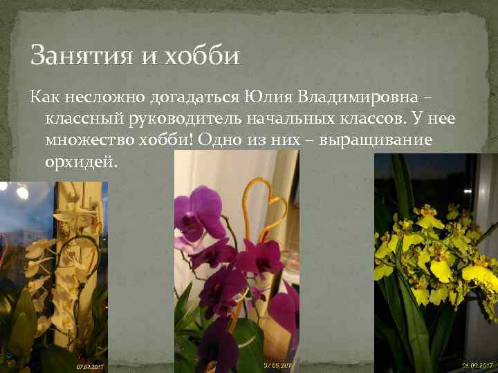 Занятия и хобби Как несложно догадаться Юлия Владимировна – классный руководитель начальных классов. У