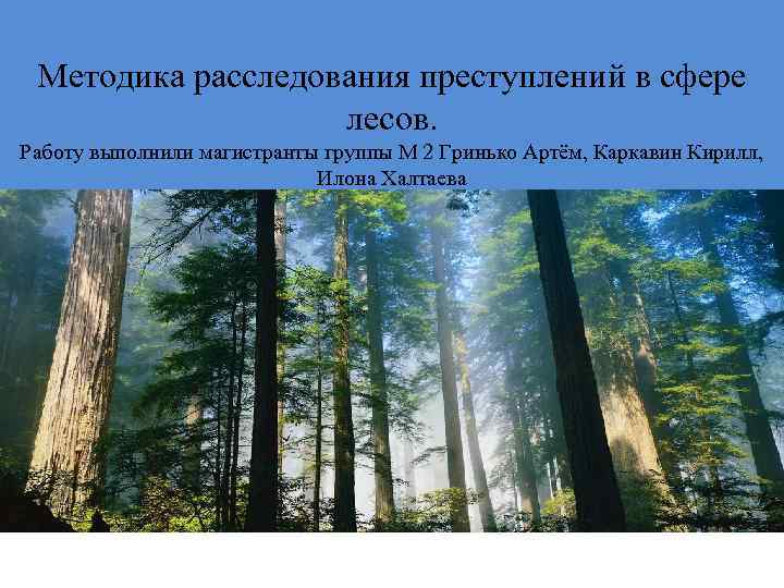 Методика расследования преступлений в сфере лесов. Работу выполнили магистранты группы М 2 Гринько Артём,