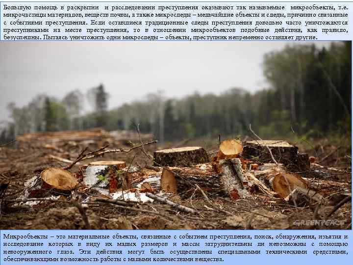 Большую помощь в раскрытии и расследовании преступления оказывают так называемые микрообъекты, т. е. микрочастицы