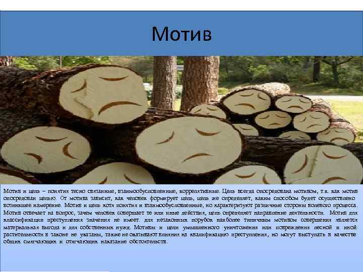 Мотив и цель – понятия тесно связанные, взаимообусловленные, коррелятивные. Цель всегда опосредована мотивом, т.