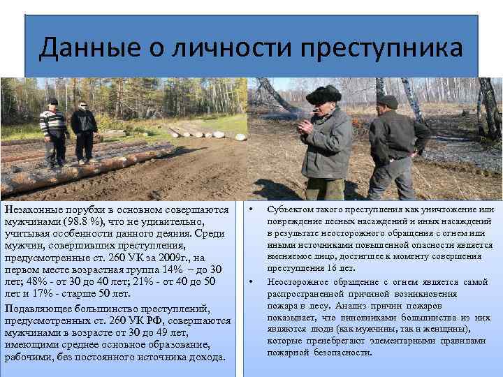 Данные о личности преступника Незаконные порубки в основном совершаются мужчинами (98. 8 %), что