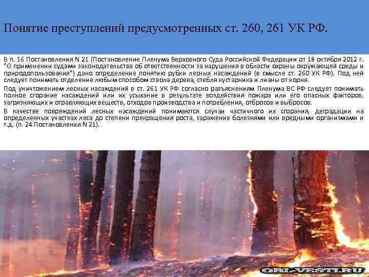 Понятие преступлений предусмотренных ст. 260, 261 УК РФ. В п. 16 Постановления N 21