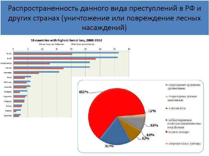 План расследования преступления убийство