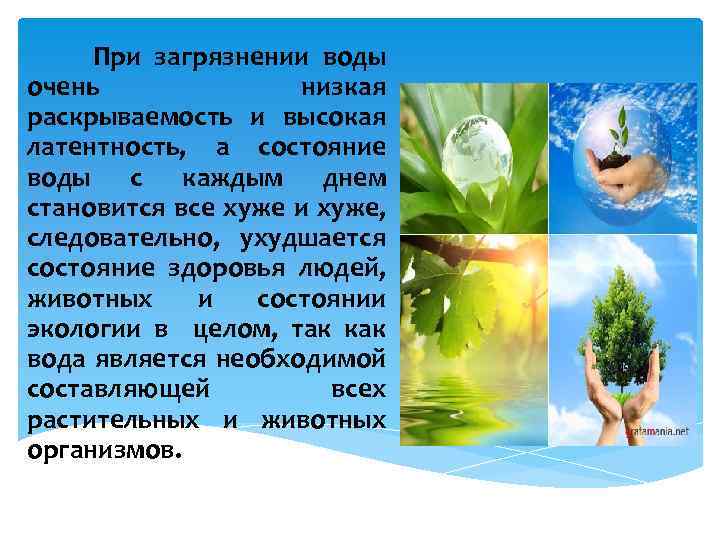 При загрязнении воды очень низкая раскрываемость и высокая латентность, а состояние воды с каждым