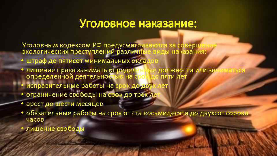 Уголовное наказание: Уголовным кодексом РФ предусматриваются за совершение экологических преступлений различные виды наказания: •