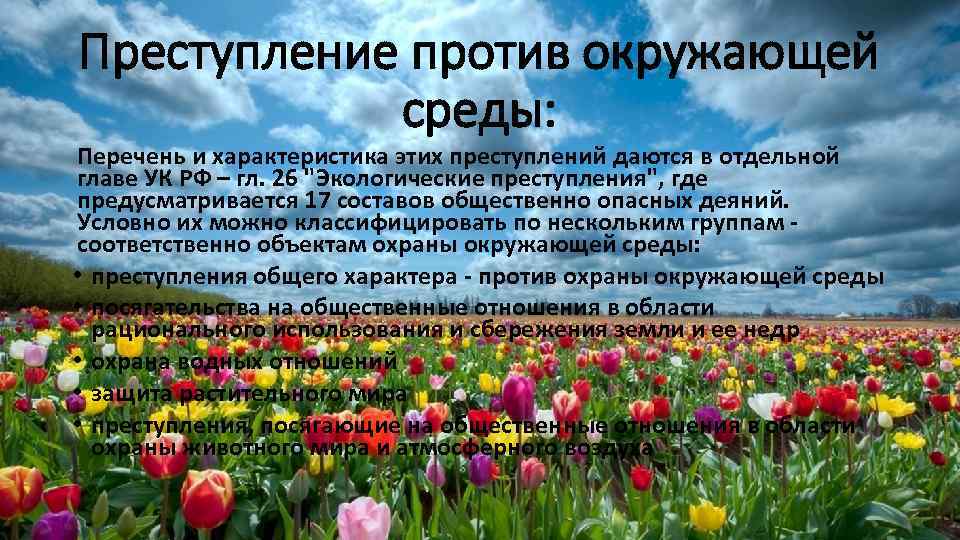 Преступление против окружающей среды: Перечень и характеристика этих преступлений даются в отдельной главе УК