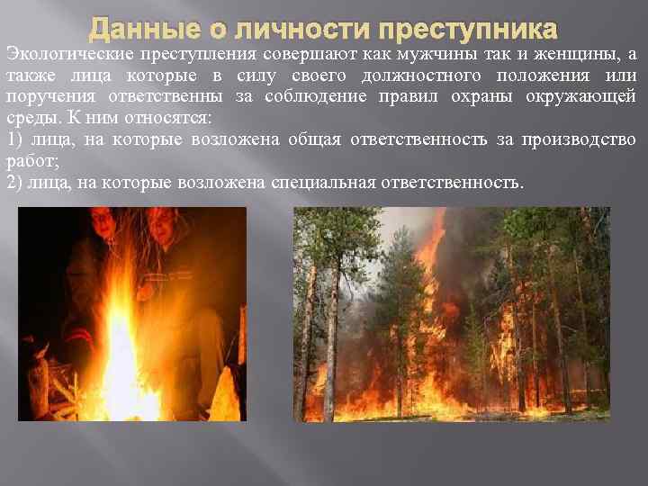 Данные о личности преступника Экологические преступления совершают как мужчины так и женщины, а также