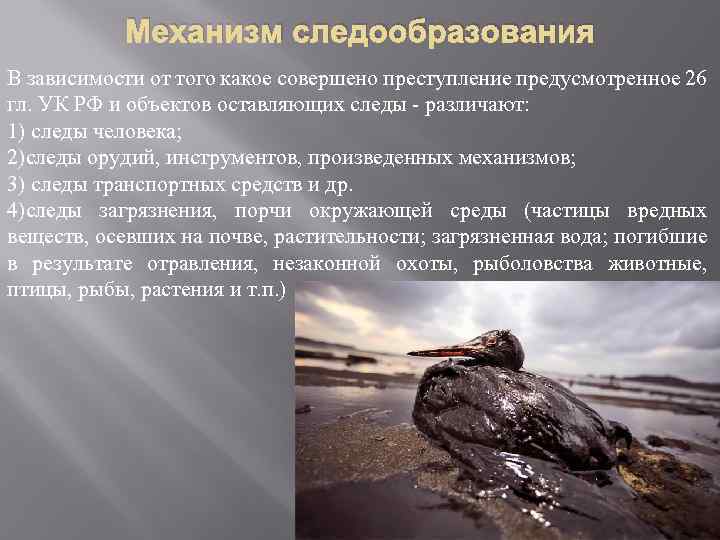Механизм следообразования В зависимости от того какое совершено преступление предусмотренное 26 гл. УК РФ