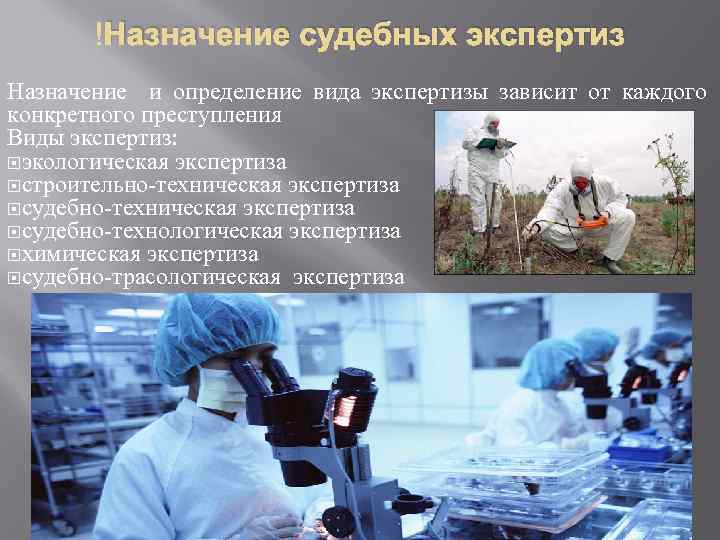 Назначение судебных экспертиз Назначение и определение вида экспертизы зависит от каждого конкретного преступления