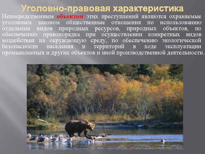 Уголовно-правовая характеристика Непосредственным объектом этих преступлений являются охраняемые уголовным законом общественные отношения по использованию