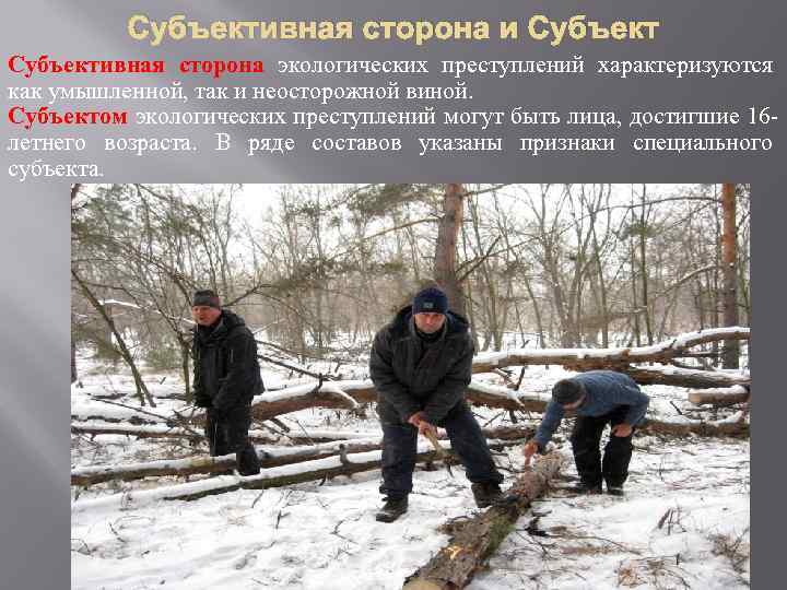 Субъективная сторона и Субъективная сторона экологических преступлений характеризуются как умышленной, так и неосторожной виной.