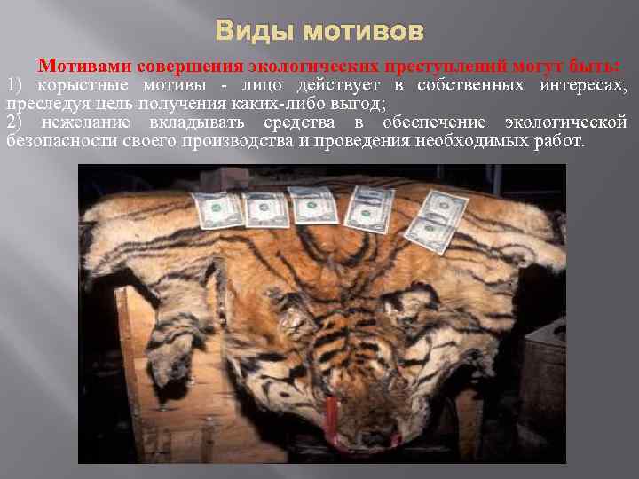 Виды мотивов Мотивами совершения экологических преступлений могут быть: 1) корыстные мотивы лицо действует в