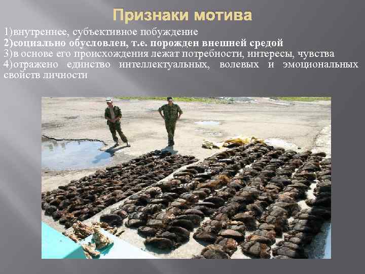 Признаки мотива 1)внутреннее, субъективное побуждение 2)социально обусловлен, т. е. порожден внешней средой 3)в основе