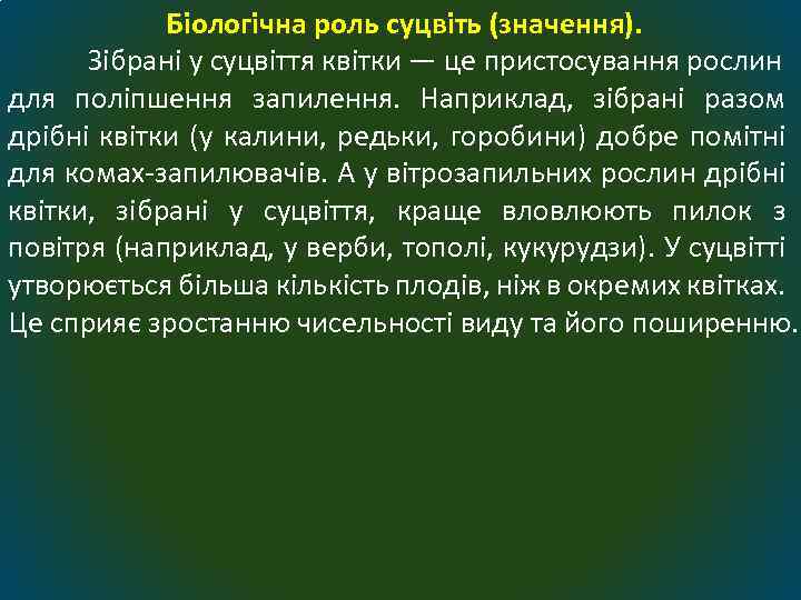 Біологічна роль суцвіть (значення). Зібрані у суцвіття квітки — це пристосування рослин для поліпшення