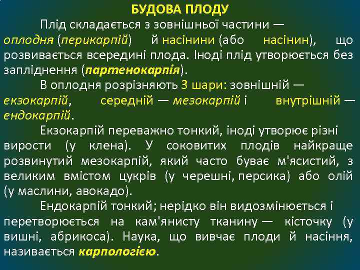 БУДОВА ПЛОДУ Плід складається з зовнішньої частини — оплодня (перикарпій) й насінини (або насінин),