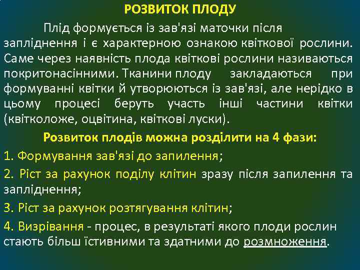 РОЗВИТОК ПЛОДУ Плід формується із зав'язі маточки після запліднення і є характерною ознакою квіткової